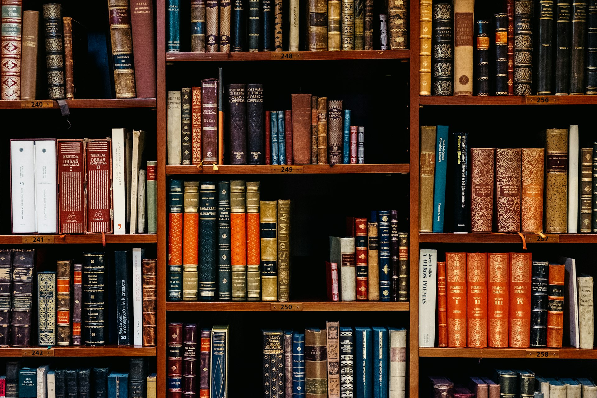 Senior advocate mentoring a young professional in a law firm library